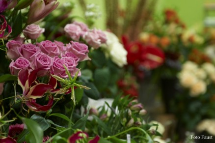 Achillea Halle Achillea Dein Blumenladen in Halle (Saale)